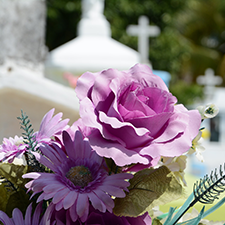 La Cour d’appel permet l’exhumation d’un corps afin de réunir des époux dans le lot familial
